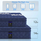 💥 Factory Direct Sale💥| 12"/14" Hybrid Mattress + FREE Fitted Sheet 🛏️