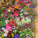 Perennial Wildflower Seeds Mix – 30-60 Varieties, Heirloom Quality, Easy to Grow, Gift-Ready